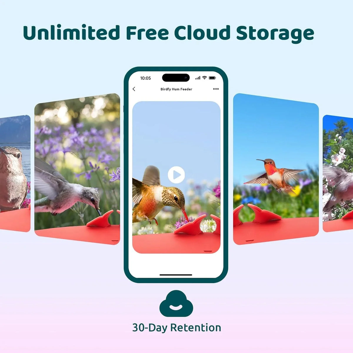 Hummingbird Feeder (Outdoor Hanging Type, with Camera, Ant-proof Groove), supports real-time viewing via 1080P high-definition application, equipped with artificial intelligence hummingbird recognition function, automatic recording and alarm function