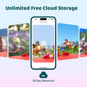 View Hummingbird Feeder (Outdoor Hanging Type, with Camera, Ant-proof Groove), supports real-time viewing via 1080P high-definition application, equipped with artificial intelligence hummingbird recognition function, automatic recording and alarm function image 2