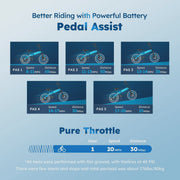 View Alpha Joy Electric Bike for Adults 20 in, Rated 500W E-Bike 48V 13AH UL2849 image 5