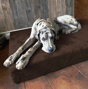 View Fashion oversized dog bed (XL size, dark gray) - Thickness 7 inches, soft and comfortable, ergonomic cushion - Oversized dog bed - Durable and washable microfiber cover image 2