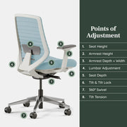 View Ergonomic office chair - A versatile office chair with adjustable lumbar support, breathable mesh backrest, and stable wheels - Experience the best comfort and support - Sapphire color image 3