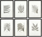 View MY SWANKY HOME Modern Set of 6 Black White Fern Prints Botanical Framed Monochrome 29 in image 1