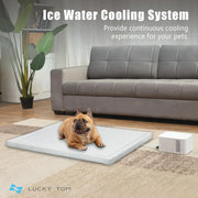 View Pet Bed Cooling System, Consistent Warm and Cold Water Pad, No Electric Shock or Chemical Gel Needed, Machine Washable Bed, Ideal for Home and Crates (Cooling & Heating Green, 41" x 28") image 2