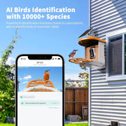 View Bird Feeder with Camera with AI Identify Birds Species Solar Panel, Smart Bird House with Cam, 2K Live View, Instant Arrival Alerts image 3