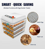 View Egg Incubator - Egg Incubator with Automatic Egg Turning and Humidity Control,Large Poultry Hatcher for Chickens Birds Ducks (176 Eggs) image 3