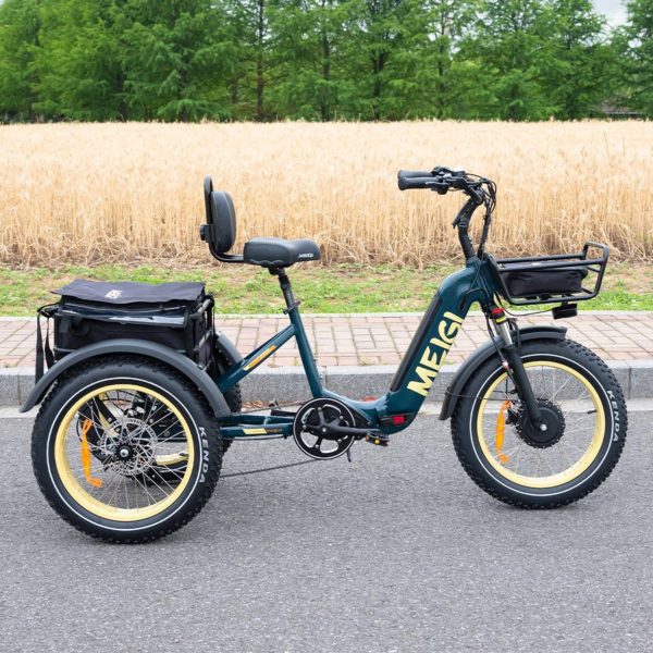 48V 14Ah 750W Foldable Fat Tire Electric Trike, 330-Lb. Capacity