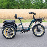 View 48V 14Ah 750W Foldable Fat Tire Electric Trike, 330-Lb. Capacity image 6