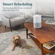View LEVOIT Core 200S-P 675 Sq Ft Smart Air Purifier image 5