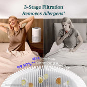 View 2 Pack Air Purifiers for Home, Compact Air Cleaners for Dust, Allergens, Pet Dander and Odors image 3
