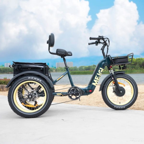 48V 14Ah 750W Foldable Fat Tire Electric Trike, 330-Lb. Capacity