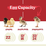 View Farms Nurture Right Egg Incubator for Hatching Chicks - Holds 22 Eggs image 2