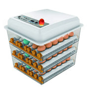 View Egg Incubator - Egg Incubator with Automatic Egg Turning and Humidity Control,Large Poultry Hatcher for Chickens Birds Ducks (176 Eggs) image 1