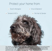 View A truly efficient air filter household air purifier, capable of removing 99.9% of dust, smoke, pet dander, odors, and volatile organic compounds, with a coverage area of up to 1500 square feet. A quiet air purifier with intelligent sensors, suitable image 2