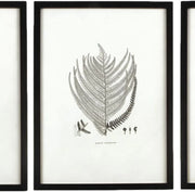 View MY SWANKY HOME Modern Set of 6 Black White Fern Prints Botanical Framed Monochrome 29 in image 3