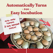 View Farms Nurture Right Egg Incubator for Hatching Chicks - Holds 22 Eggs image 3