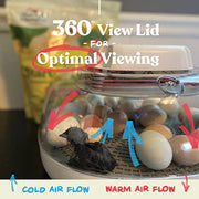 View Farms Nurture Right Egg Incubator for Hatching Chicks - Holds 22 Eggs image 4