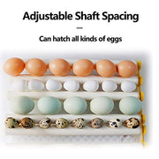 View Egg Incubator - Egg Incubator with Automatic Egg Turning and Humidity Control,Large Poultry Hatcher for Chickens Birds Ducks (176 Eggs) image 4