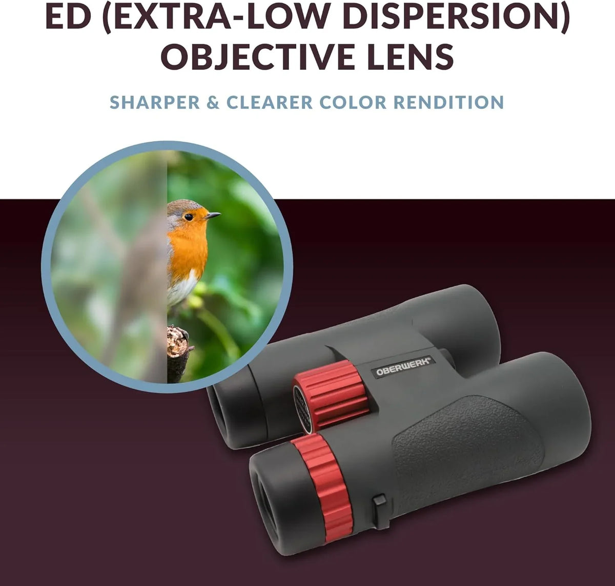 Binoculars (8x42mm) - Suitable for adults, hiking and outdoor activities, as well as for advanced bird watching. Professional type binoculars.