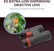 View Binoculars (8x42mm) - Suitable for adults, hiking and outdoor activities, as well as for advanced bird watching. Professional type binoculars. image 4