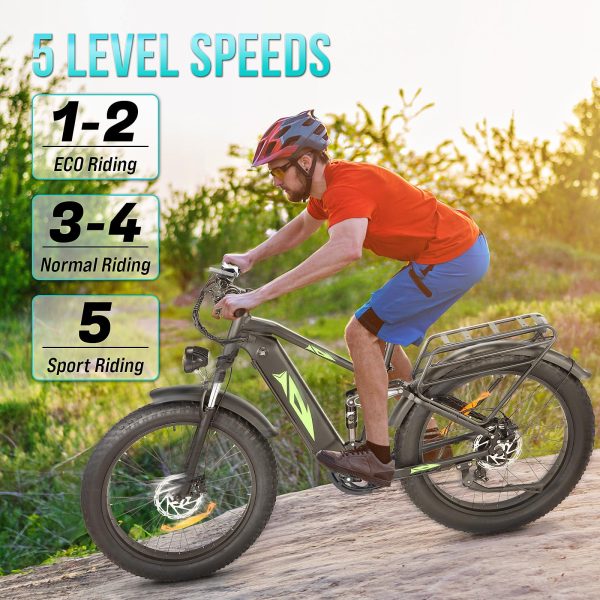 Electric Bike for Adults 1000W, 48V 17.5AH Battery Adult Electric Bicycles, 26 Fat Tire Full Suspension Ebike, 28MPH Mountain Beach E Bike, 7 Speed,