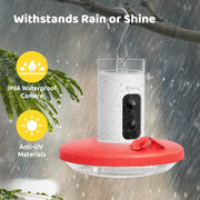 View Hummingbird Feeder (Outdoor Hanging Type, with Camera, Ant-proof Groove), supports real-time viewing via 1080P high-definition application, equipped with artificial intelligence hummingbird recognition function, automatic recording and alarm function image 4