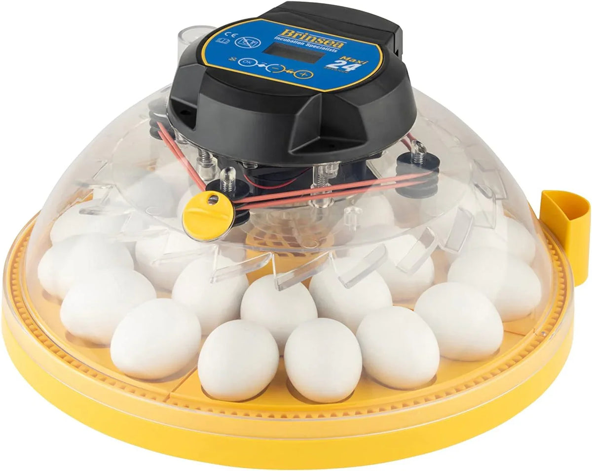 A 24-position automatic egg incubator with constant temperature control function, suitable for hatching 24 eggs, duck eggs or other egg types. It offers the best flexibility and can be used with eggs of different sizes.