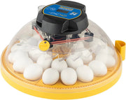 View A 24-position automatic egg incubator with constant temperature control function, suitable for hatching 24 eggs, duck eggs or other egg types. It offers the best flexibility and can be used with eggs of different sizes. image 4