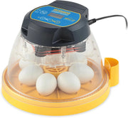 View A 24-position automatic egg incubator with constant temperature control function, suitable for hatching 24 eggs, duck eggs or other egg types. It offers the best flexibility and can be used with eggs of different sizes. image 2