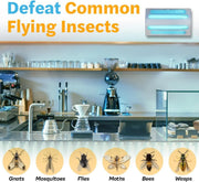 View An indoor wall-mounted ultraviolet fly trap, used for catching flies, moths, mosquitoes and other flying insects. image 2