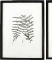 View MY SWANKY HOME Modern Set of 6 Black White Fern Prints Botanical Framed Monochrome 29 in image 4