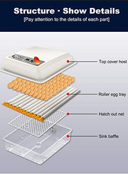 View Egg Incubator - Egg Incubator with Automatic Egg Turning and Humidity Control,Large Poultry Hatcher for Chickens Birds Ducks (176 Eggs) image 2