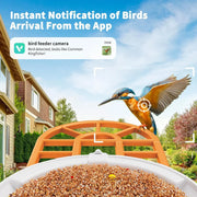 View Bird Feeder with Camera with AI Identify Birds Species Solar Panel, Smart Bird House with Cam, 2K Live View, Instant Arrival Alerts image 4