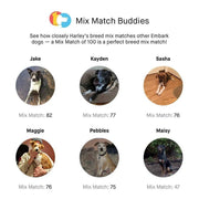 View Embark Dog DNA Test, Breed Identification Kit image 4
