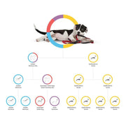 View Embark Dog DNA Test, Breed Identification Kit image 3