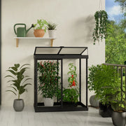 View Canopia by Palram Ivy 4 ft. x 2 ft. Mini Greenhouse Kit image 2