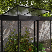View Canopia by Palram Ivy 4 ft. x 2 ft. Mini Greenhouse Kit image 3