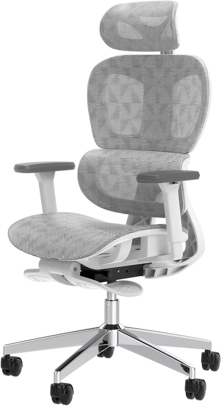 Ergo3D Ergonomic Office Chair -- High Back Mesh Desk Chair with 3D Adjustable Armrests, Wheels, for Home and Office (Black)