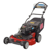 View 30-Inch Self-Propelled Gas Lawn Mower image 1