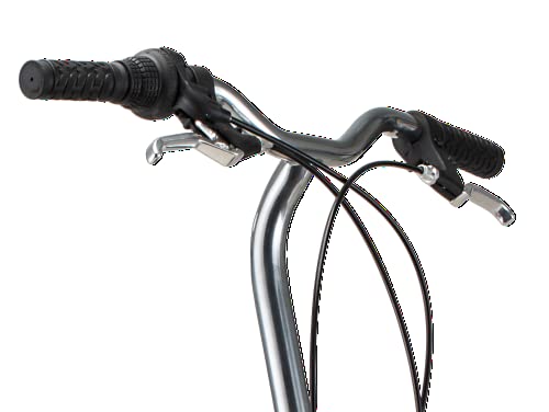 20-Inch Folding Adult Bike for Men and Women, 7-Speed Drivetrain